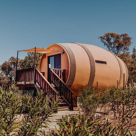 Hotel Finca El Mirador à Valle de Guadalupe Extérieur photo