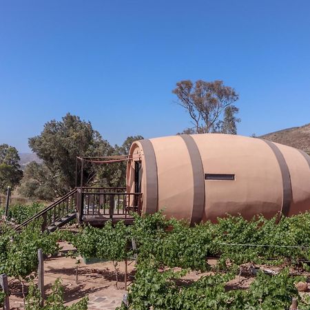 Finca El Mirador Valle de Guadalupe Extérieur photo