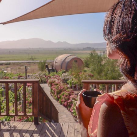 Finca El Mirador Valle de Guadalupe Extérieur photo