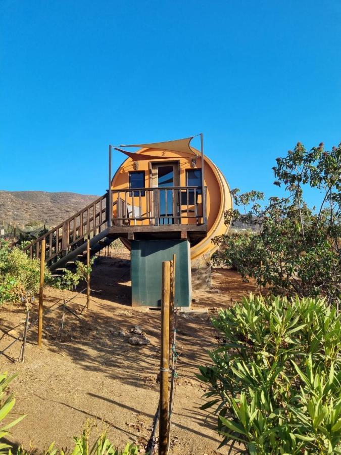 Hotel Finca El Mirador à Valle de Guadalupe Extérieur photo