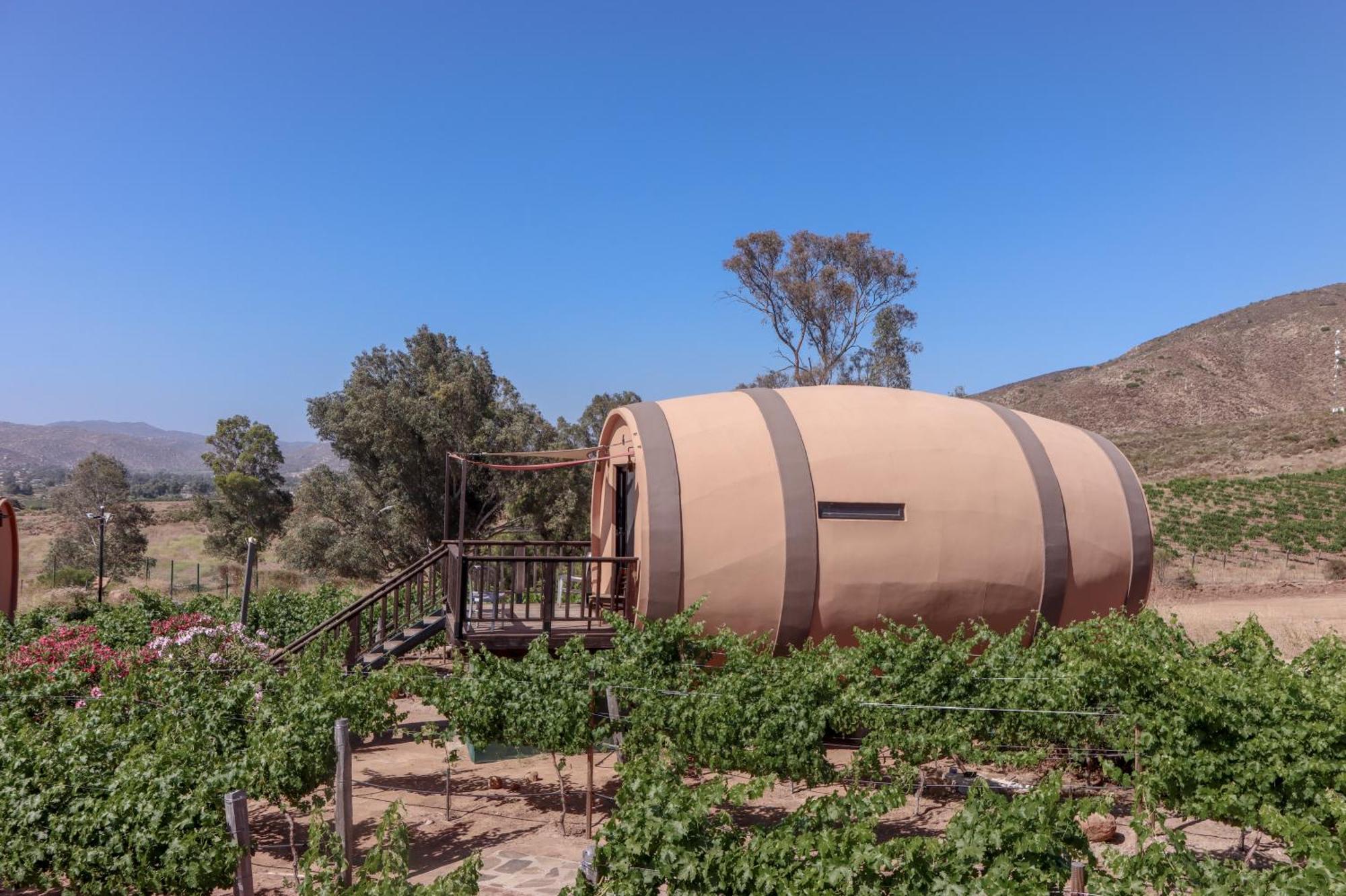 Finca El Mirador Valle de Guadalupe Extérieur photo