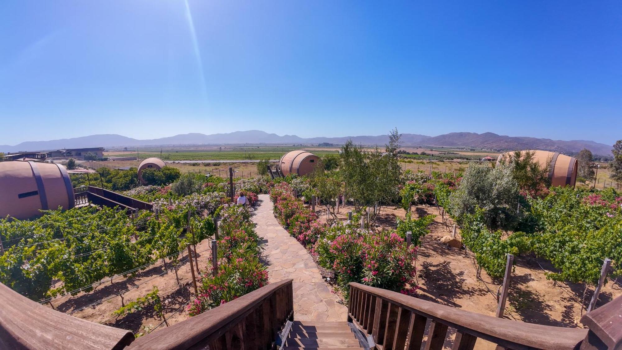 Finca El Mirador Valle de Guadalupe Extérieur photo